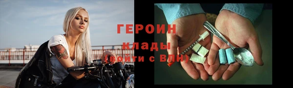 индика Осташков
