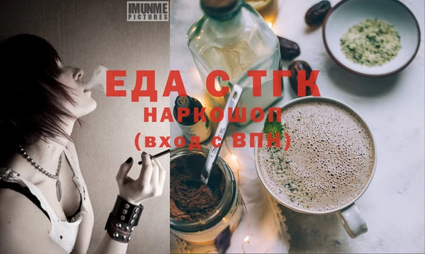 индика Осташков
