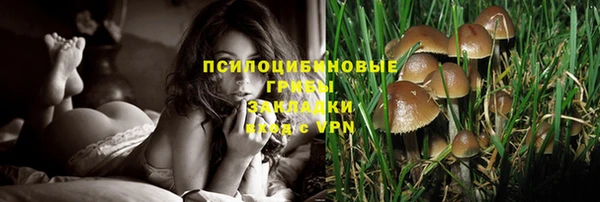 экстази Баксан