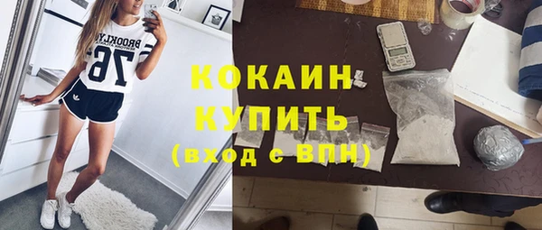ALPHA PVP Остров