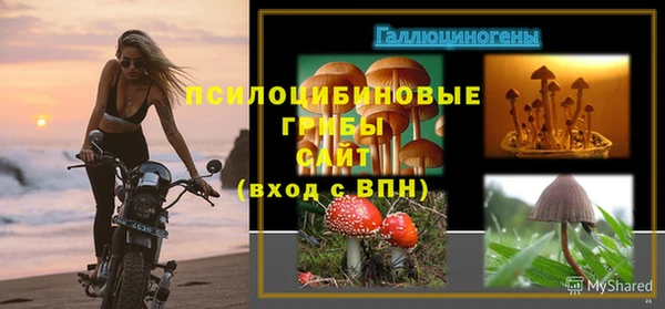 СК Арсеньев